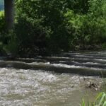 Փրկարար ծառայությունը՝ Փամբակ գետում որոնողական աշխատանքների մասին