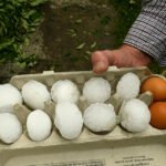 Թբիլիսիում հավկիթի և ավելի մեծ չափի կարկուտ է տեղացել (լուսանկարներ)