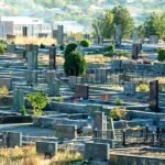 Թոխմախի գերեզմանատանը տղամարդու հոշոտված մարմին է հայտնաբերվել