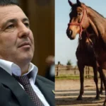 Գագիկ Ծառուկյանին ավելի ցավեցնելու համար կառգրավեն նաև նրա ձիերը. մանրամասներ